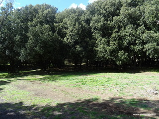 sco di Centorbi-18-10-2020 12
